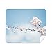 Plum Blossom Blue Sky Clouds Cleaning Cloth Screen Cleaner 2pcs Suede Fabric