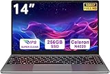 bvate PC Portatile 14 pollici Notebook Win 11 upto 2.8 GHz 256 GB ROM Supporta l'espansione SSD 1TB Celeron N4020 2.4G+5G WiFi 4.2 USB HDMI Tastiera italiana membrana mouse senza fili-Gray-FXJ