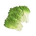 HSDCK 4 Pcs Faux Feuilles de laitue Légumes artificiels Laitues Simulation Plastique pour Lifelike Maison Kitchen Party Pub Décoration Ornement Cabinet