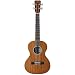 Cordoba 20TM Tenor Ukulele