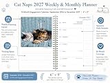 Cat Naps