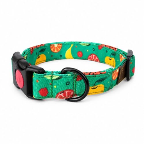 Image of Lana Paws Fruity Floof Fabric Dog Collar, Lightweight & Durable Belt for Small Dogs