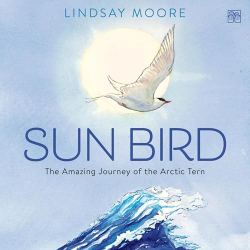 Sun Bird by Lindsay Moore episode artwork
