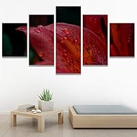 SIGNWIN 5 Panel Canvas Wall Art Botanical Chic Closeup Expressive Multicolor Photography Realism Ultra for Home Decorations Ready to Hang - 60