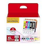 PGI250 CLI251 Compatible Replacement for Canon Ink 250 and 251 cartridges Compatible with Canon...