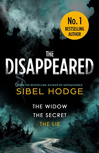 The Disappeared: a gripping mystery thriller (English Edition)