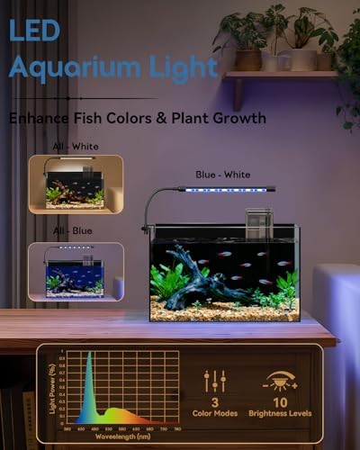 Glass Fish Tank Kit — bottom and base construction detail