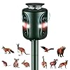 Repulsif Chat Exterieur, 360 degrés Répulsif Chat Ultrason pour le jardin 5 modes réglables Solaire répulsif chat extérieur, 10m Anti Chat Exterieur Repulsif pour Rats, Chiens, Oiseaux, Souris, Pigeon