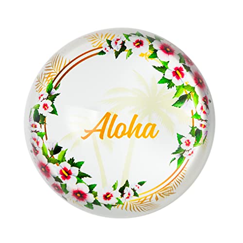 Aloha Designs Aloha Presse-papier en verre de 7,6 cm - Idéal pour le bureau, l'organisation de courrier, les souvenirs, l'organisation de papier, la décoration de la maison - Plus 1 autocollant Aloha