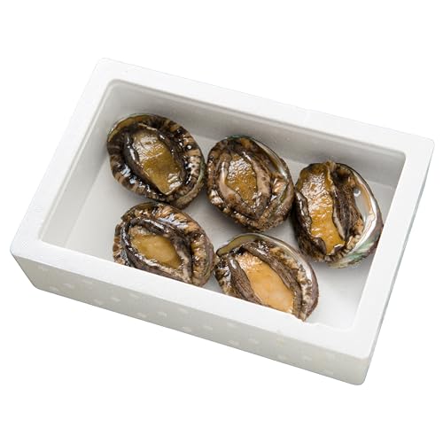日時指定不可[産地直送 留萌産]天然活エゾアワビ 300g〜400g(2〜5個入り)R006-015
