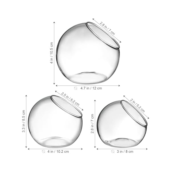 Mipcase-3-Pcs-Plant-Terrarium-Plant-Holder-Terrarium-Air-Plant-3-Round-Glass-Vase-for-Succulents-Clear-Bubble-Planter-for-Home-Decor-Oblique-Opening-Glass-Bowls-Succulent-Orbs-Mini-Tank Mipcase-3-Pcs-Plant-Terrarium-Plant-Holder-Terrarium-Air-Plant-3-Round-Glass-Vase-for-Succulents-Clear-Bubble-Planter-for-Home-Decor-Oblique-Opening-Glass-Bowls-Succulent-Orbs-Mini-Tank