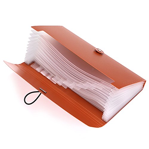 BTSKY Expanding Accordion File 13 Pockets Small Card Ticket Holder Storage Folder Check Bill Plastic Wallet Case (Coffee Translucent - View #12