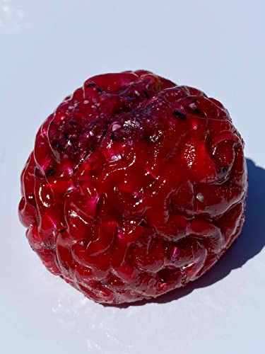 1 Transparent Red Power Brain Crystal Orgone Generator Energy Accumulator 7.83/432/528Hz OM Chant Advance Harmonics Many Beautiful Ingredients!! (Transparent Red)