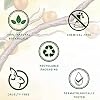 Biotique Bio Apricot Refreshing Body Wash, 800ml I 100% Soap Free