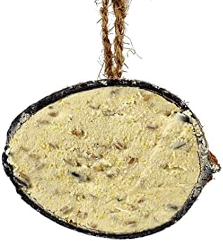 Chubby Suet Filled Coconuts Halves Coconut Feeders Food For Wild Birds - Box of 30