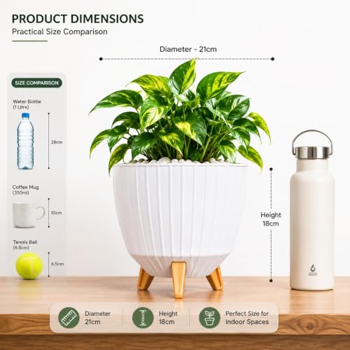 Image of Xmart India 7 Inch Decorative Plant Pot for Indoor & Outdoor Plants | Planter Pot with Stand & Legs |Ribbed Flower Pot for Home, Balcony, Garden, Living Room & Office | Plant Container (2, White)