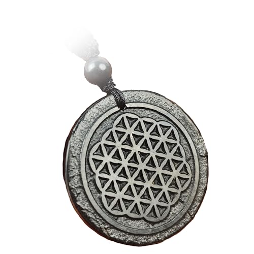 Naturals Shungite Crystal Necklace Pendant | Healing Crystals & Chakra Necklace - Gemstone Jewelry for Men & Women - Spiritual and Joyous Gifts 40mm