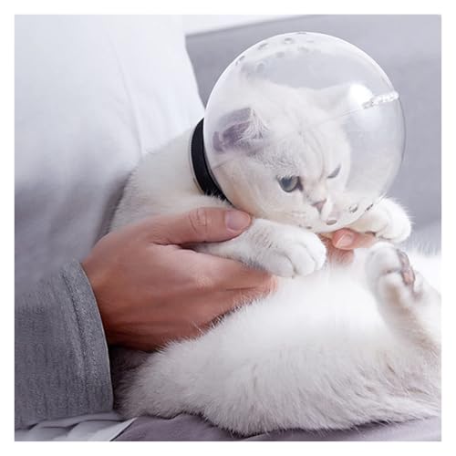 Casque de balle spatiale pour toilettage chat et chien, couverture de protection L