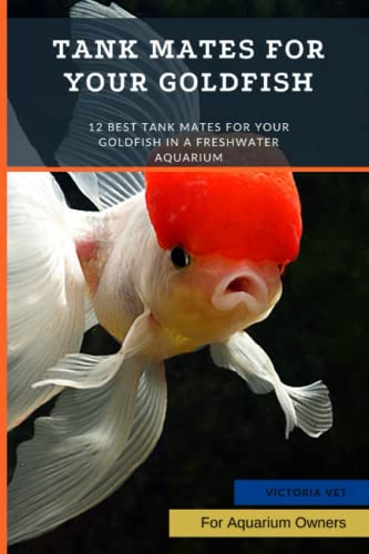 Tank Mates for Your Goldfish: 12 Best Tank Mates for Your Goldfish in a Freshwater Aquarium