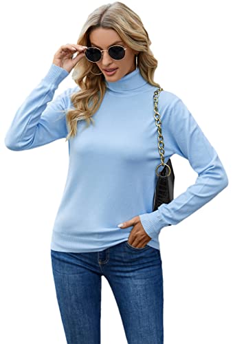 Image of DAIMIDY Turtleneck Sweaters for Women Long Sleeve Pullover Tops | Knitted Material| Soft, Warm and Breathable| High Resilience and Tensile Strength Design| Business Casual Tops| Dailywear