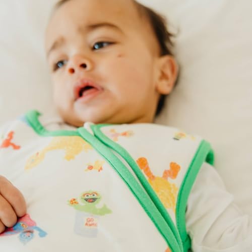Image of Copper Pearl Baby Sleep Sack, Sesame Friends - Wearable Blanket for 0-6 Months, Sleeveless Sleep Sack for Baby Boy or Girl