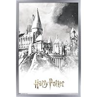 ハリーポッター　premium print ハリーポッター premium print