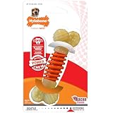 Nylabone PRO Action Dental Bone Power Chew Toy for Dogs, Dog Toys for Aggressive Chewers, Bacon Flavor, Medium - Up to 35 lbs, 1 Count