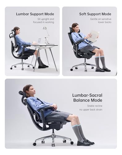 Image of SIHOO Doro C300 Pro V2 Ergonomic Office Chair, Full-Body Adaptive Support, 8D Armrests & Breathable Mesh, Comfy High Back Computer Desk Chair for Long Hours, 135 Recline, 2 Packs, Black