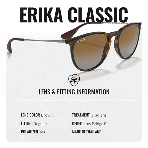 Ray-Ban RB4171F ERIKA COLOR MIX Phantos Shaped Sunglasses for Men & Women with Official RAYBAN Eyewear Kit4
