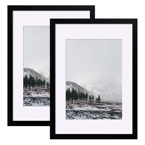 SILD A2 Black Poster Frame Set of 2 Cover