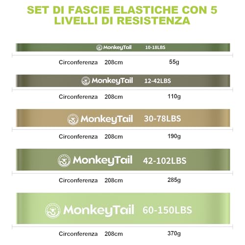 Bandes de résistance MonkeyTail pour progresser en tractions et musculation à domicile