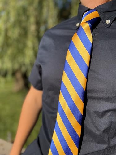 Image of tiemart Men's Striped Tie Standard Length