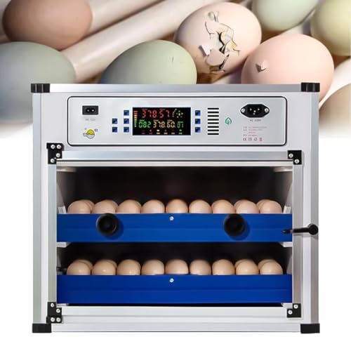 Sz eʐ݌v x߁E]E@\t ƒ/Ɩp EY/{/Aq/K`EΉ z琗̌^+Ɨ d dS(136Egg,AC/DC)