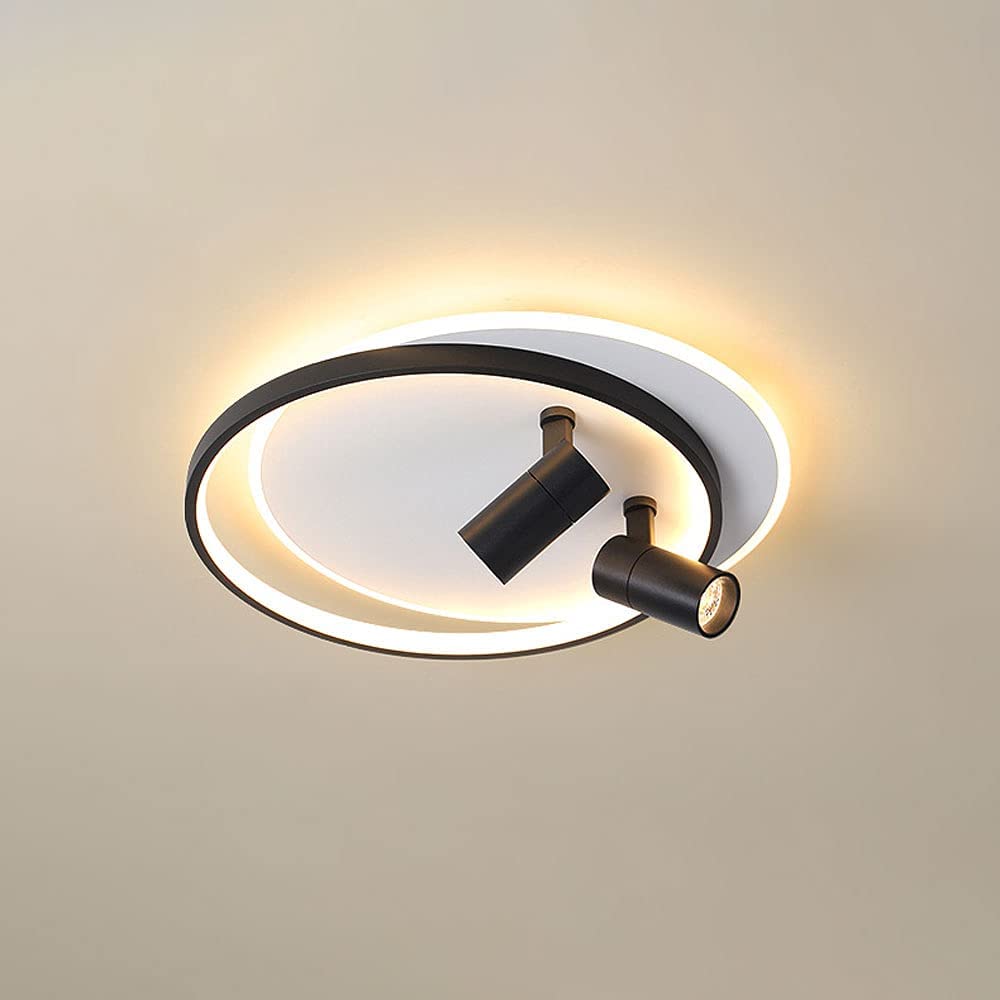 Spot de plafond LED directionnel à 2 lampes pour éclairage d'accentuation salon et cuisine