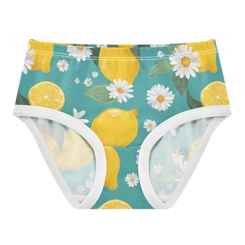 Wusikd Cute Lemons Girls' Underwear Cotton Daisies Turquoise Girls Briefs Soft Toddler Underwear 2T