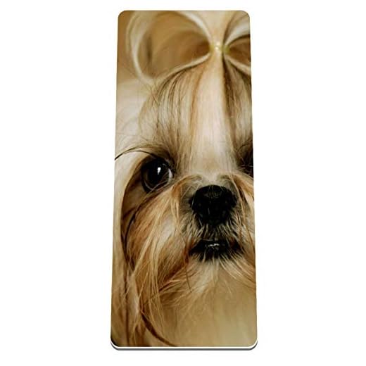Eslifey Shih Tzu valp hund yogamatta halkfri TPE-certifierad giftfri träning fitness pilatesmatta (183 cm L x 81 cm B x 1/3 tum tjock)