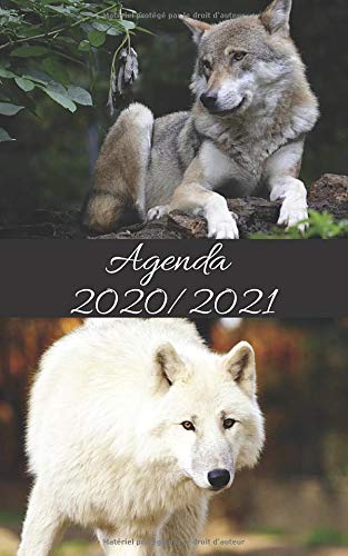 Télécharger Agenda Scolaire 2020 2021 / LOUP WOLF LUNE: Inclus : Répertoire, Suivi des notes, 2 Emplois de temp livre En ligne