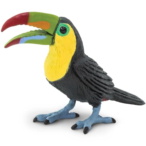 Safari Ltd. Toucan Figurine - Lifelike 2.75' Bird Figure - Educational Toy for Boys, Girls, and Kids Ages 3+