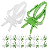 SEWACC 40 Stück Papageien Futterhalter aus Sicherem Kunststoff mit Hängender Obst und Gemüsegabel Gemüseclips für Vögel Wellensittiche und Sittiche Vogelkäfig Futterzubehör für Leckerlis