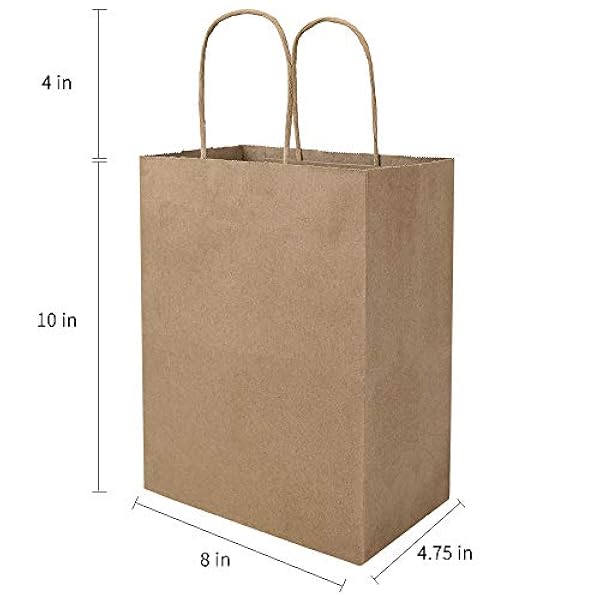 bagmad 100 stuks 20 x 12 x 25 cm effen middelgrote papieren zakken met handgrepen bulk, bruine kraftzakken, ambachtelijke geschenkzakken, boodschappentassen, boodschappentassen, verjaardagsfeestjes,