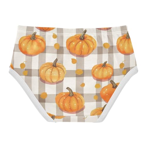 Wusikd Pumpkins Girls' Underwear Cotton Colorful Gingham Girls Briefs Soft Toddler Underwear 2T2
