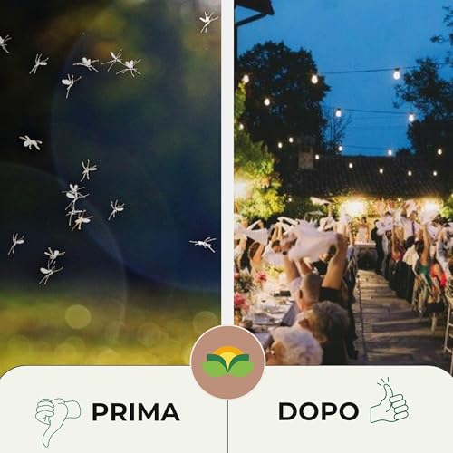 Albagarden - Insetticida Antizanzare Giardino x 1 Litro - Insetticida Concentrato per Esterno E Interno contro Zanzare Cimici Mosche Insetti Moscerini - Barriera Anti Zanzare - 5