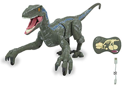 JAMARA 410153 - Dinosaurier Velociraptor 2,4GHz - flinke Bewegungen,...