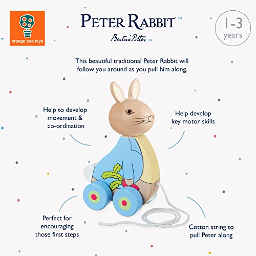 Image of Orange Tree Toys Peter Rabbit Pull Along