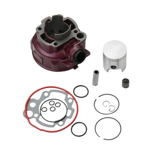 �r�b�O�{�A�V�����_�[�L�b�g 49mm 90cc AF1 �N���V�b�N MX SM Pegaso RS Extrema Tuono 50cc AM4 AM5 2T �I�[�g�o�C�p