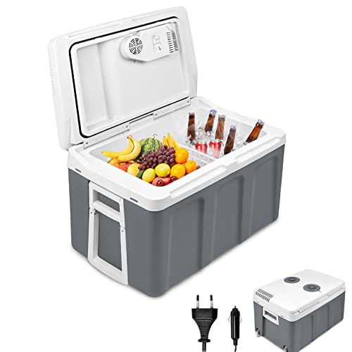 Aufun Nevera 48L con ruedas, para mantener caliente y frío, mini nevera, 12 V y 230 V para coche, camión, barco, autocaravana y enchufe, con modo ECO(Gris)