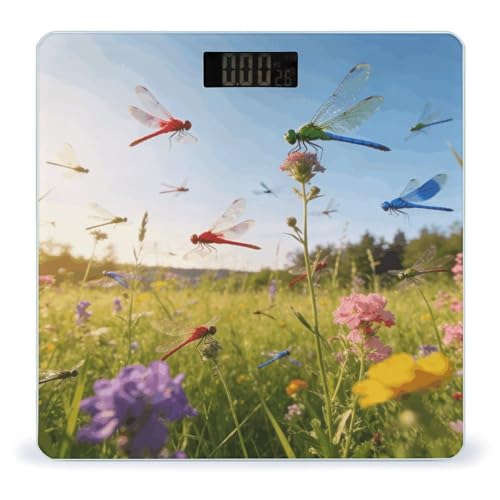 Báscula digital de baño Dragonfly Meadow con sensores de alta precisión miniatura 1