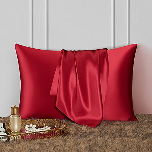 DISANGNI 100% Natural Mulberry Silk Pillow case for Hair and Skin with Hidden Zipper 22 Momme Both Sides Real Silk Pillow Case (1pc 50x75cm - Image 2