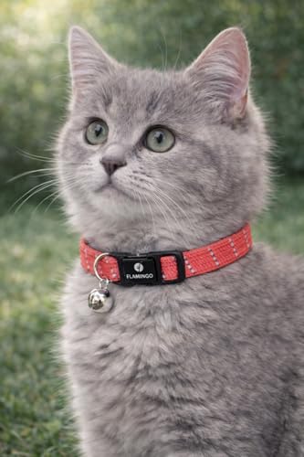 Collier Chat - Chaton Elza Corail Rouge 15–22 cm – Nylon élastique réfléchissant avec Clochette