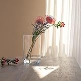 Zoom IMG-1 trend for home grande vaso Zoom IMG-1 trend for home grande vaso